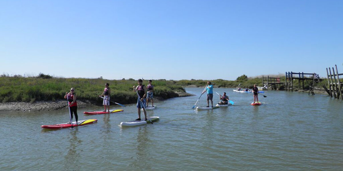 Paddle