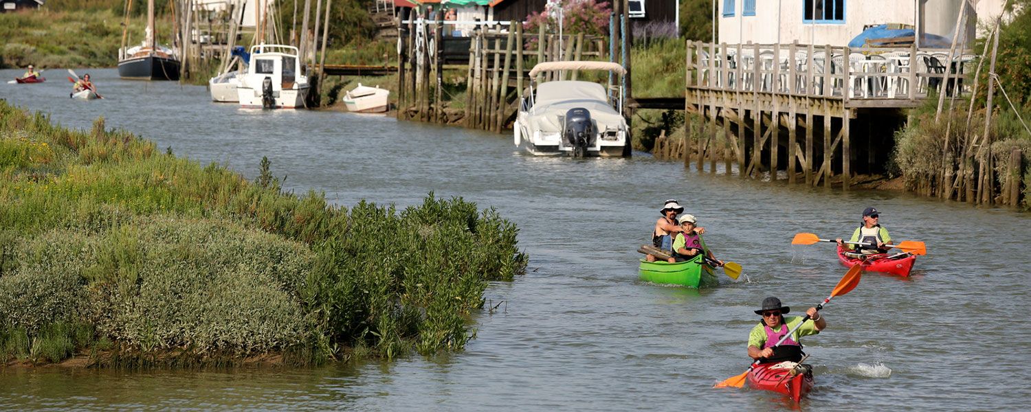 Kayak & Nature