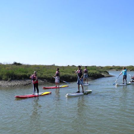 Location paddle